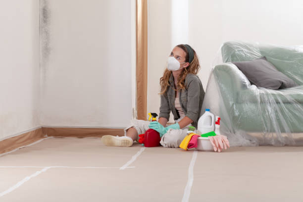 Reliable Mold Cleanup contractor in Hudson, PA by WQB Mold Removal